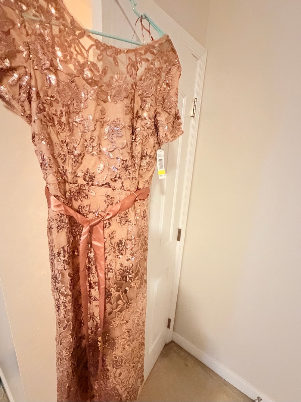 R&M Richards One-Shoulder Sequin Lace Gown in Blush Rose
